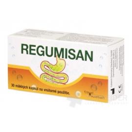 REGUMISAN