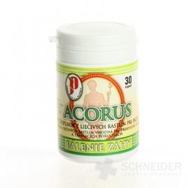 AGROKARPATY ACORUS, PÁLENIE ZÁHY