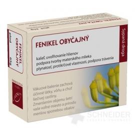 HANUS FENIKEL OBYČAJNÝ PLOD