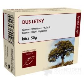 HANUS DUB LETNÝ KÔRA