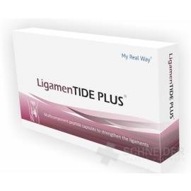 LigamenTIDE PLUS