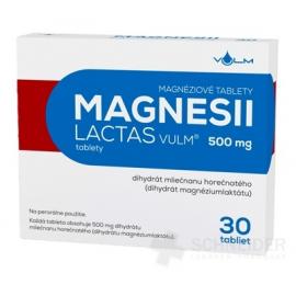 MAGNESII LACTAS VULM 500 mg
