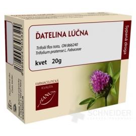 HANUS ĎATELINA LÚČNA KVET