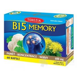 TEREZIA B15 MEMORY