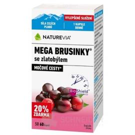 NATUREVIA MEGA BRUSNICE SO ZLATOBYĽOU
