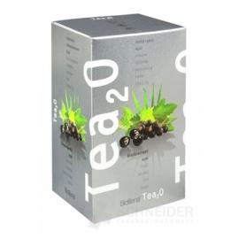 Biogena Tea2O Čierna ríbezl'a & Acai
