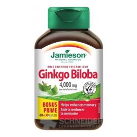 JAMIESON GINKGO BILOBA