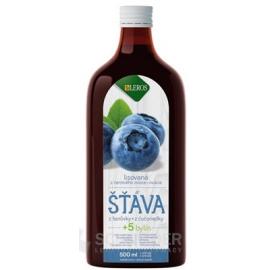 LEROS Funkčná ŠŤAVA čučoriedka + 5 bylín