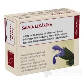 HANUS ŠALVIA LEKÁRSKA VŇAŤ