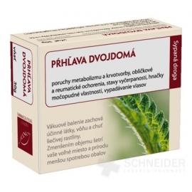 HANUS PŔHĽAVA DVOJDOMÁ VŇAŤ