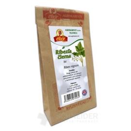 AGROKARPATY RÍBEZĽA ČIERNA list