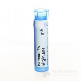 HAMAMELIS VIRGINIANA