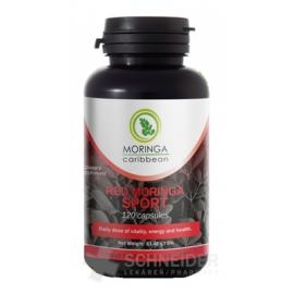 MORINGA RED MORINGA SPORT