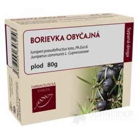 HANUS BORIEVKA OBYČAJNÁ PLOD