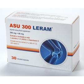 ASU 300 LERAM