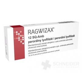 RAGWIZAX