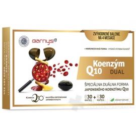 Barny's KOENZÝM Q10 DUAL 60 mg