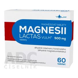 Magnesii Lactas VULM 500 mg 60 tbl.