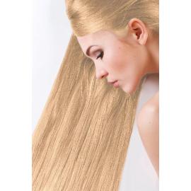 SANOTINT Farba na vlasy Classic 11 - medový blond 1x1 ks