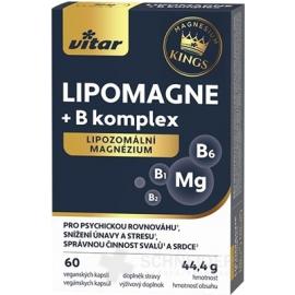 VITAR KINGS LIPOMAGNE + B komplex