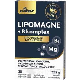 VITAR KINGS LIPOMAGNE + B komplex