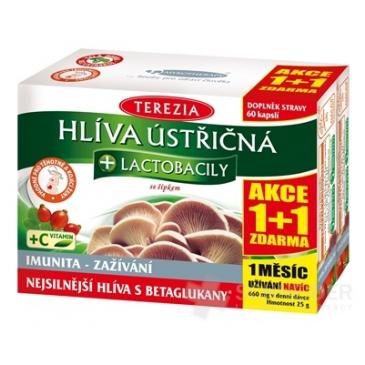 TEREZIA HLIVA USTRICOVITÁ + LAKTOBACILY