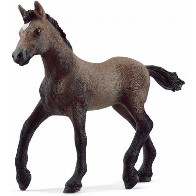Schleich Žriebä plemena peruánsky paso