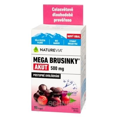 SWISS NATUREVIA MEGA BRUSNICE AKUT 500 mg