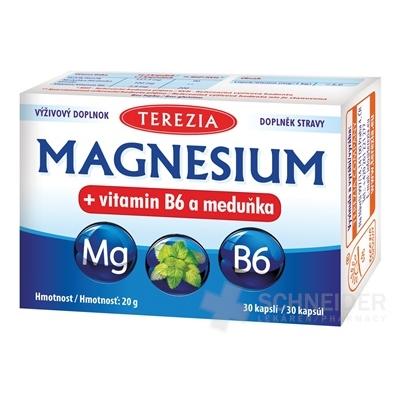 TEREZIA MAGNESIUM + vitamin B6 a meduňka