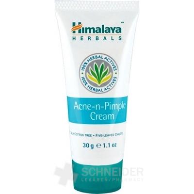 Himalaya Krém proti akné
