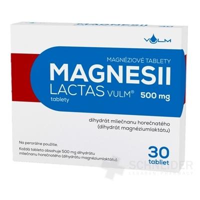 MAGNESII LACTAS VULM 500 mg