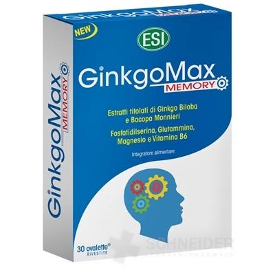 ESI GinkoMax Memory Mg+B6