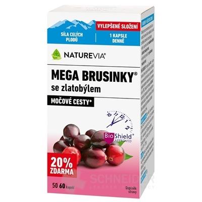 NATUREVIA MEGA BRUSNICE SO ZLATOBYĽOU