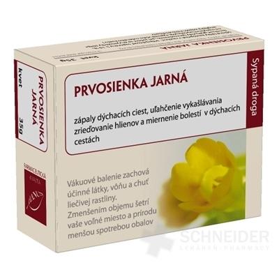 HANUS PRVOSIENKA JARNÁ KVET