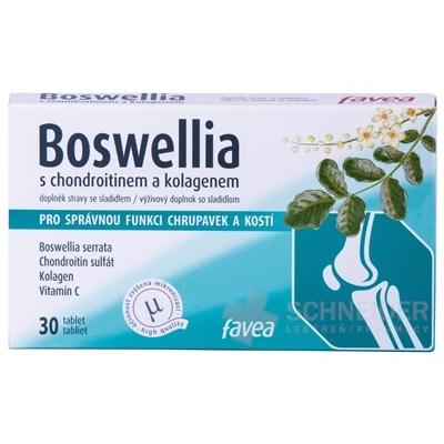 favea BOSWELLIA s chondroitínom a kolagénom