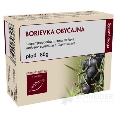 HANUS BORIEVKA OBYČAJNÁ PLOD