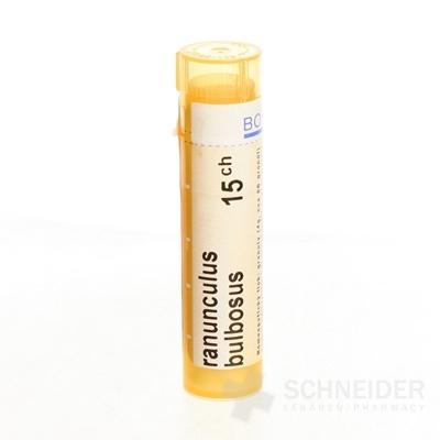 RANUNCULUS BULBOSUS