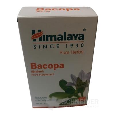 Himalaya Bacopa