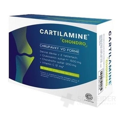 CARTILAMINE CHONDRO