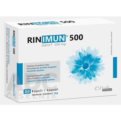 RINIMUN 500