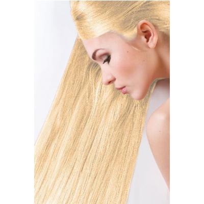 SANOTINT Farba na vlasy Sensitive Light 87 - zlatý blond 1x1 ks